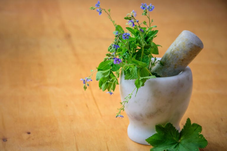 healing herbs