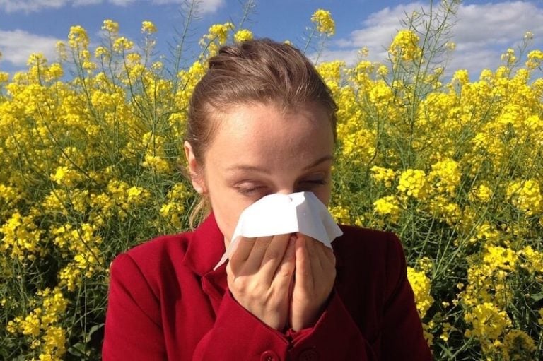 allergy