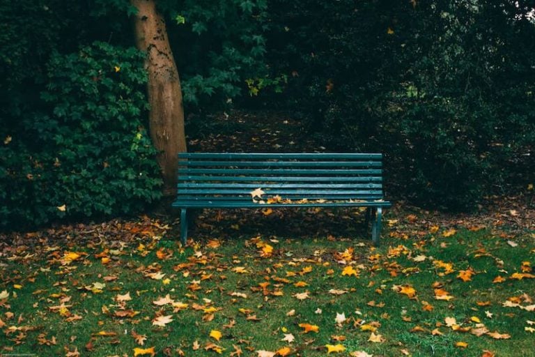 park